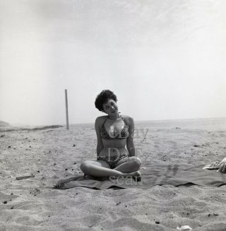 1950s Negative - Busty Pinup Girl Gigi Frost In Leopard Bikini T281525