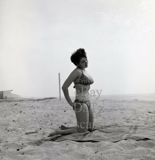 1950s Negative - Busty Pinup Girl Gigi Frost In Leopard Bikini T281522