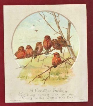 Victorian Finches Group Alice West Hildesheimer & F Christmas Card B