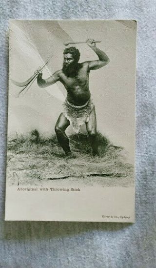 1908 Postcard Australian Aboriginal Warrior Wooden Clubs Throwing Sticks