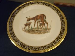 Lenox Boehm Annual Limited Issue Whitetail Deer Woodland Wildlife Plate 1978