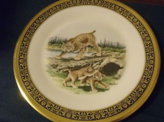 Lenox Boehm Annual Limited Issue Bob Cats Woodland Wildlife Plate 1980