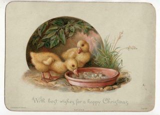 Victorian C1885 Xmas Card.  Two Ducklings.  Pub 
