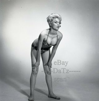 1950s Negative - Sexy Pinup Girl Didi Daniels In Bikini - Cheesecake T439859