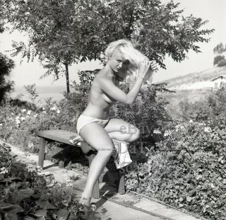 1950s Negative - Sexy Nude Blonde Pinup Girl Janice Lee - Cheesecake T439676