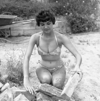 1960s Negative - Sexy Pinup Girl Annette Sogorski In Bikini - Cheesecake T278692
