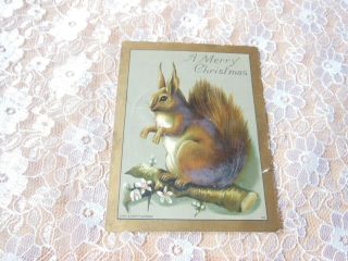 Victorian Christmas Card/squirrel/eyre & Spottiswoode