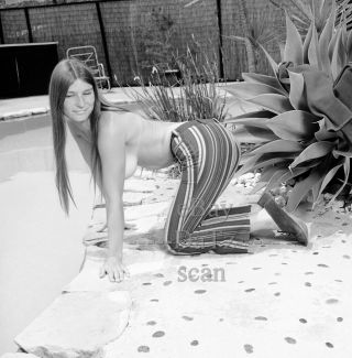 1960s Negative - Sexy Nude Brunette Pinup Girl Pam Hermanson - Cheesecake T58368