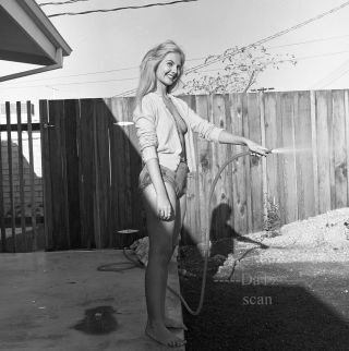 1960s Negative - Sexy Blonde Pinup Girl Marcy Frazier - Cheesecake T423632