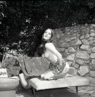 1960s Negative - Sexy Nude Brunette Pinup Girl Susan Beaudry - Cheesecake T439521