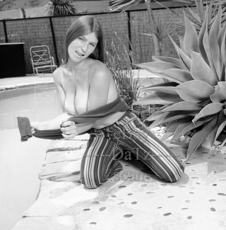 1960s Negative - Sexy Nude Brunette Pinup Girl Pam Hermanson - Cheesecake T58369