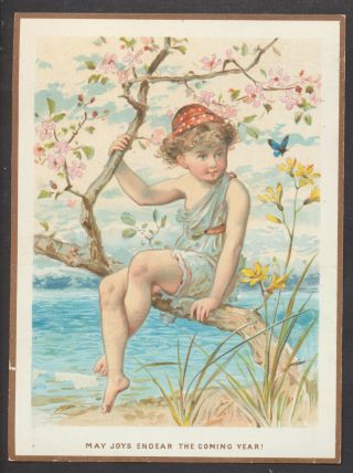 C218 Victorian De La Rue Year Card: Girl In Tree,  Ws Coleman