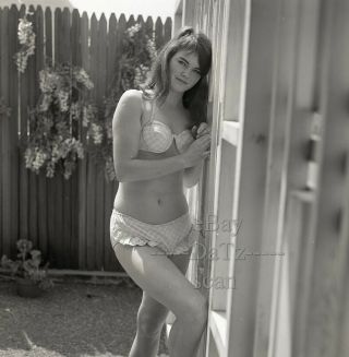1960s Negative - Sexy Pinup Girl Althea Daglish In Bikini - Cheesecake T278343