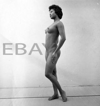 Asian Nude 2.  25 " Negative Busty Woman Vintage 1950 