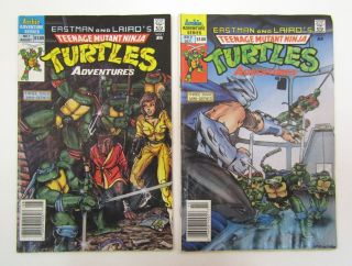 Teenage Mutant Ninja Turtles Adventures 1 & 2 Archie 1988 Newsstand Variant