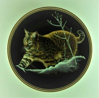 Bobcat Plate Nature 