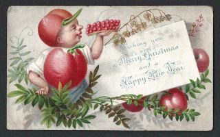 U17 - Cherry Man - Goodall - Victorian Xmas Card
