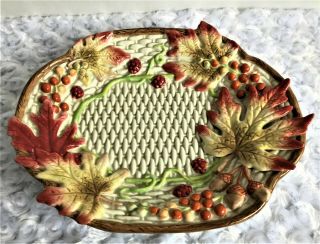 Vintage Discontinued Autumn Fields By Fitz & Floyd 8.  5 X 10 " Canape Dish