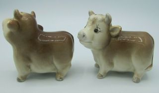Vintage Baby Brown Cow Ceramic Salt & Pepper Shakers Set Otagiri 1981 Japan 2
