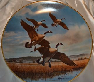Gliding In 1975 Collectors Plate Wildlife Artists Maass 43 Geese In Flight