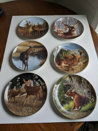 Danbury Pride Of The Wilderness Deer / Stag Decorative Plates