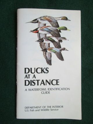 Vintage Ducks At A Distance,  Waterfowl Identification Guide,  1978