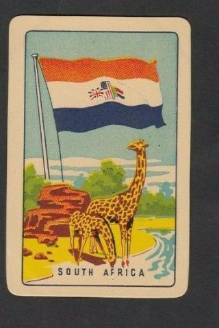 1 Playing Swap Card Woolworths Melbourne Olympic Games 1956 South Africa Giraffe