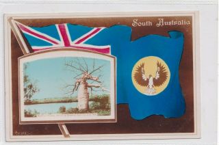 Vintage Postcard South Australia Flag Series N.  Territory Gregory 