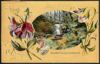 Tasmania Hobart " Silver Falls,  Fern Tree Park " Valentine 