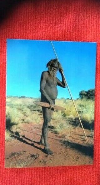 Central Australian Aborigine Jimmy Walkabout Pitjantjara Tribe No 1 Captain