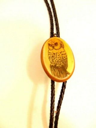 pre - owned bolo tie with oval slide showing picture of an owl 3