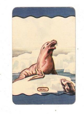 Swap Card Coles Named Series Vintage 1950 