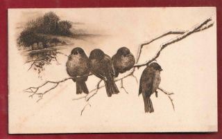 Victorian 3 - Fold Finches Group Alice West Hildesheimer & F Christmas Card A