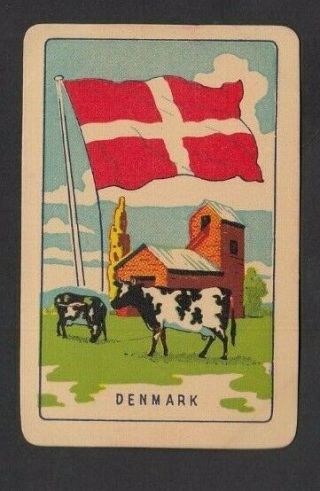 1 Playing Swap Card Woolworths Melbourne Olympic Games 1956 Denmark Cows