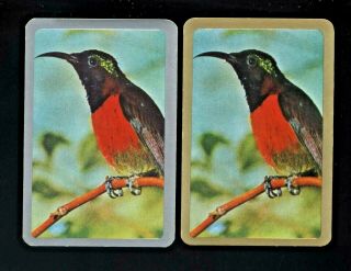 2 Listed Swap Playing Cards Newsagent Blank Back Large Black Beak Bird Red Chest