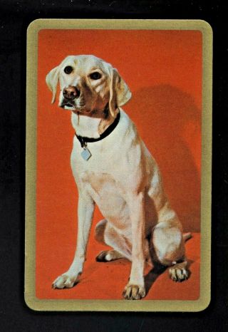 1 Listed Swap Playing Cards Newsagent Blank Back Handsome Large Dog Seated