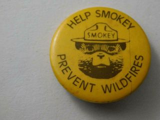 Smokey The Bear Help Prevent Wild Fires Forest Mascot Vintage Collector Button
