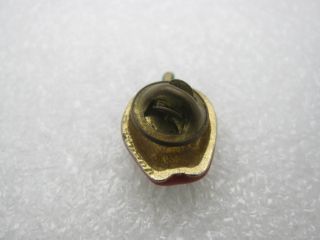 Red Apple Teacher Lapel Pin (A153) 3
