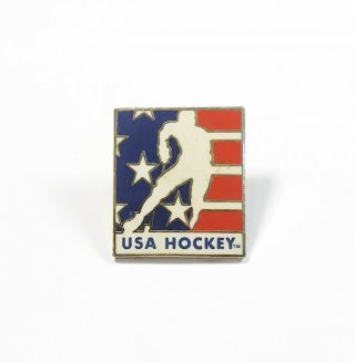 Vintage Usa Ice Hockey Team Enamel Pin Clutch Pinback