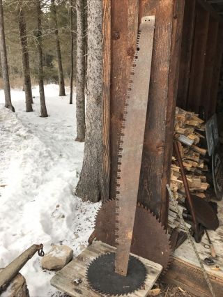 Vintage 66” 2 Man Logging Crosscut Saw Blade Art Decor