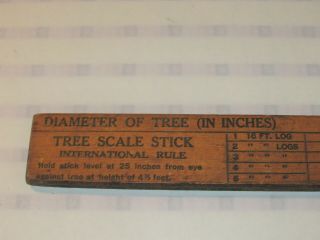 VINTAGE TREE/LOG SCALE STICK ' FOR AVERAGE SOUTHERN TIMBER ' 31 