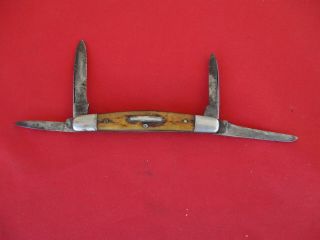 Rare Vintage Remington Umc 4 Blade Folding Knife Bone / Stag Handle (1732) Up F