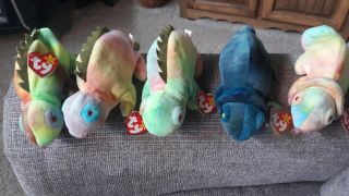 Beanie Babies Rare 1997 Rainbow Iguana Collectable 5