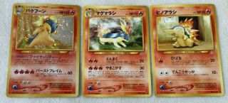 Typhlosion Cyndaquil Quilava Pokemon Card Set Of 3 Rare Nintendo Japanese