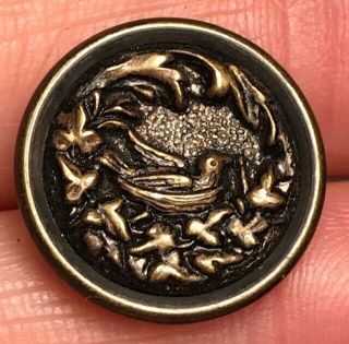 Rare Old Brass Tone Bird In Nest Vintage Antique Metal Button 6525