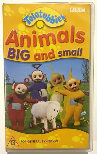 Rare Teletubbies Animals Big And Small.  Vhs 2001