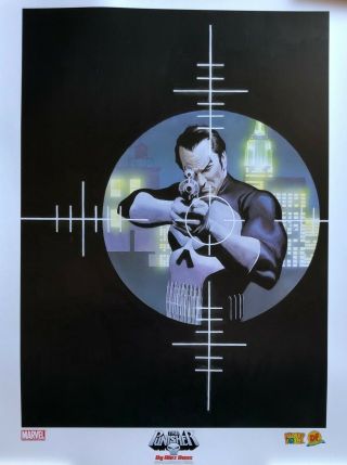 Alex Ross Rare Punisher 16x24 Print Dynamic Forces 2001 Spidey 129 Last One