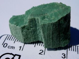 9.  61 Gram Extremely Rare Green Chromium Petrified Wood From Winslow Arizona