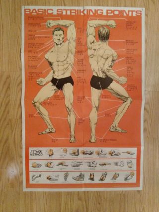 Very Rare Vintage 1981 Basic Striking Points Awma Poster Huge Great