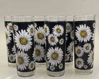 Rare Vintage Federal Glass Daisies On Black Background Tumblers 6.  75” Set Of 6